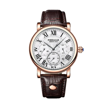 Lucas™ | Men’s Leather Chronograph Watch
